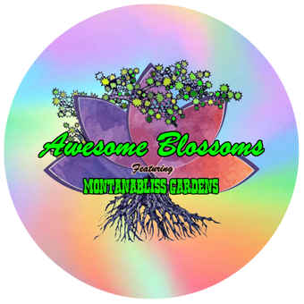 Awesome Blossoms Logo