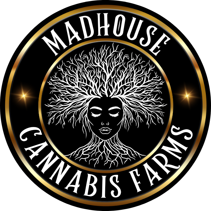 MadHouse+Logo