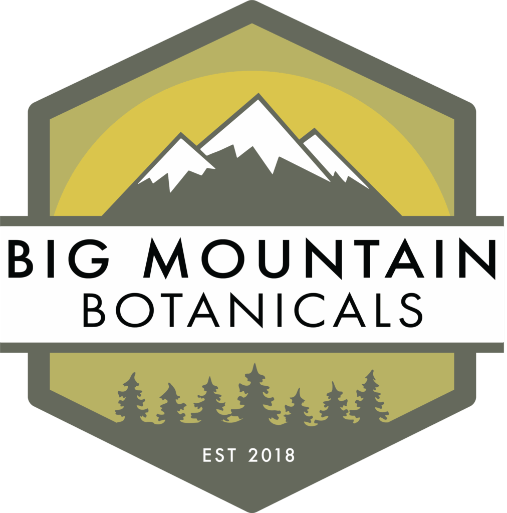 New BMB Logo - white background